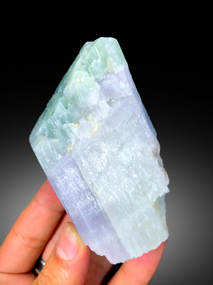 V Shape Terminated Bicolor Kunzite Crystal, Kunzite Specimen, Raw Mineral, Kunzite Crystal from Nuristan Afghanistan - 303 gram