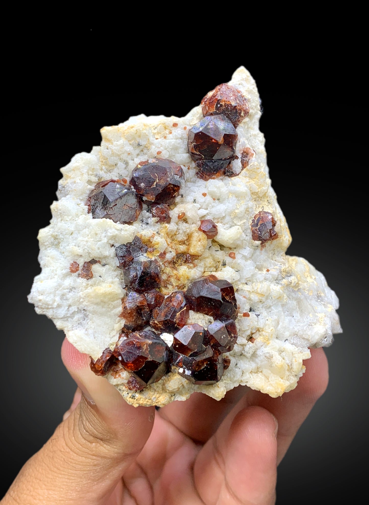 Natural Red Color Garnet Crystals on Matrix from Shengus, Roundu District, Gilgit-Baltistan, Pakistan - 207 gram