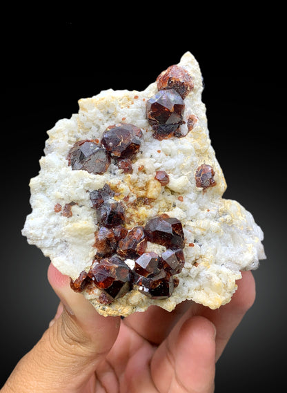 Natural Red Color Garnet Crystals on Matrix from Shengus, Roundu District, Gilgit-Baltistan, Pakistan - 207 gram