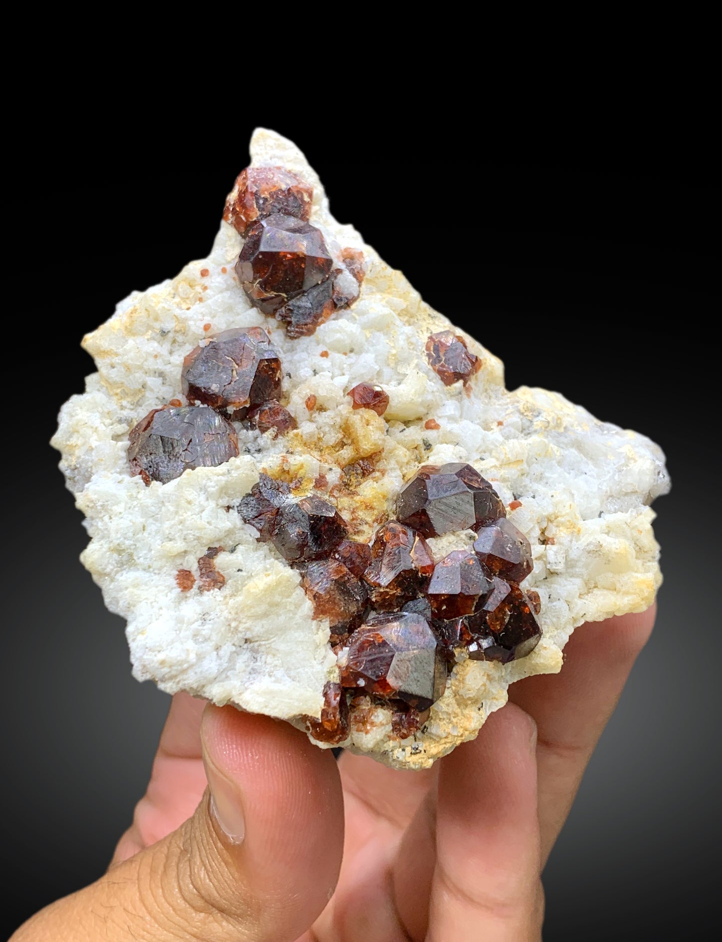 Natural Red Color Garnet Crystals on Matrix from Shengus, Roundu District, Gilgit-Baltistan, Pakistan - 207 gram