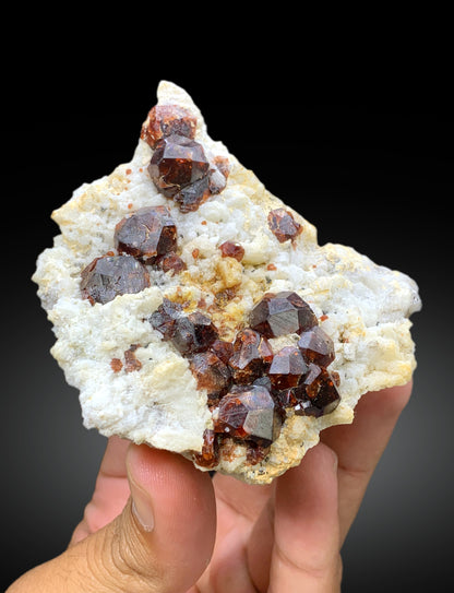 Natural Red Color Garnet Crystals on Matrix from Shengus, Roundu District, Gilgit-Baltistan, Pakistan - 207 gram