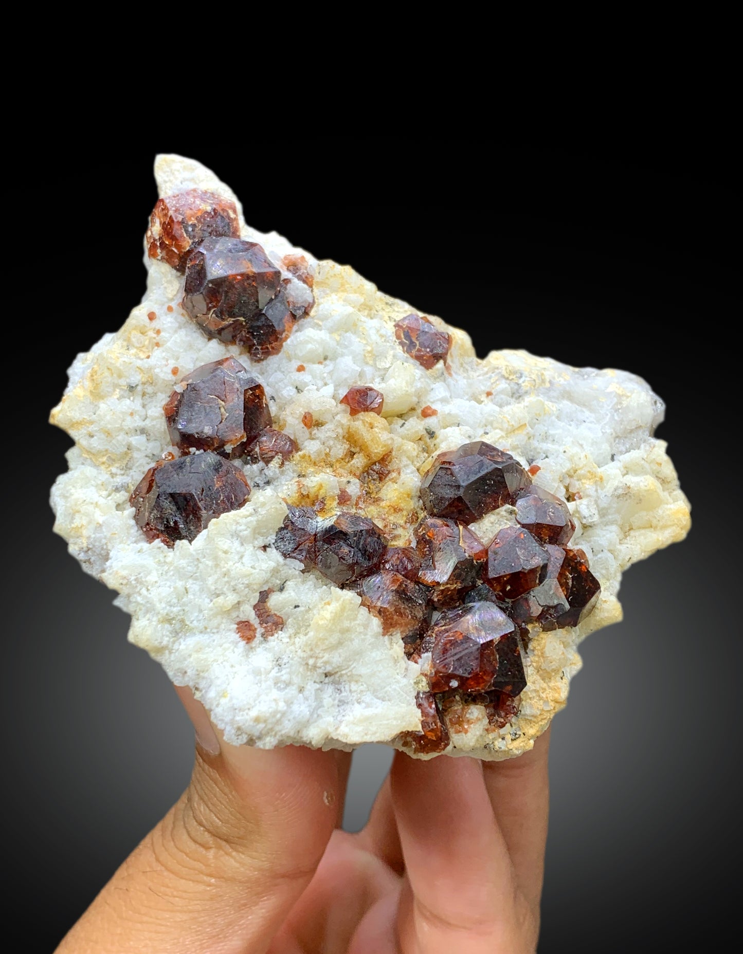 Natural Red Color Garnet Crystals on Matrix from Shengus, Roundu District, Gilgit-Baltistan, Pakistan - 207 gram