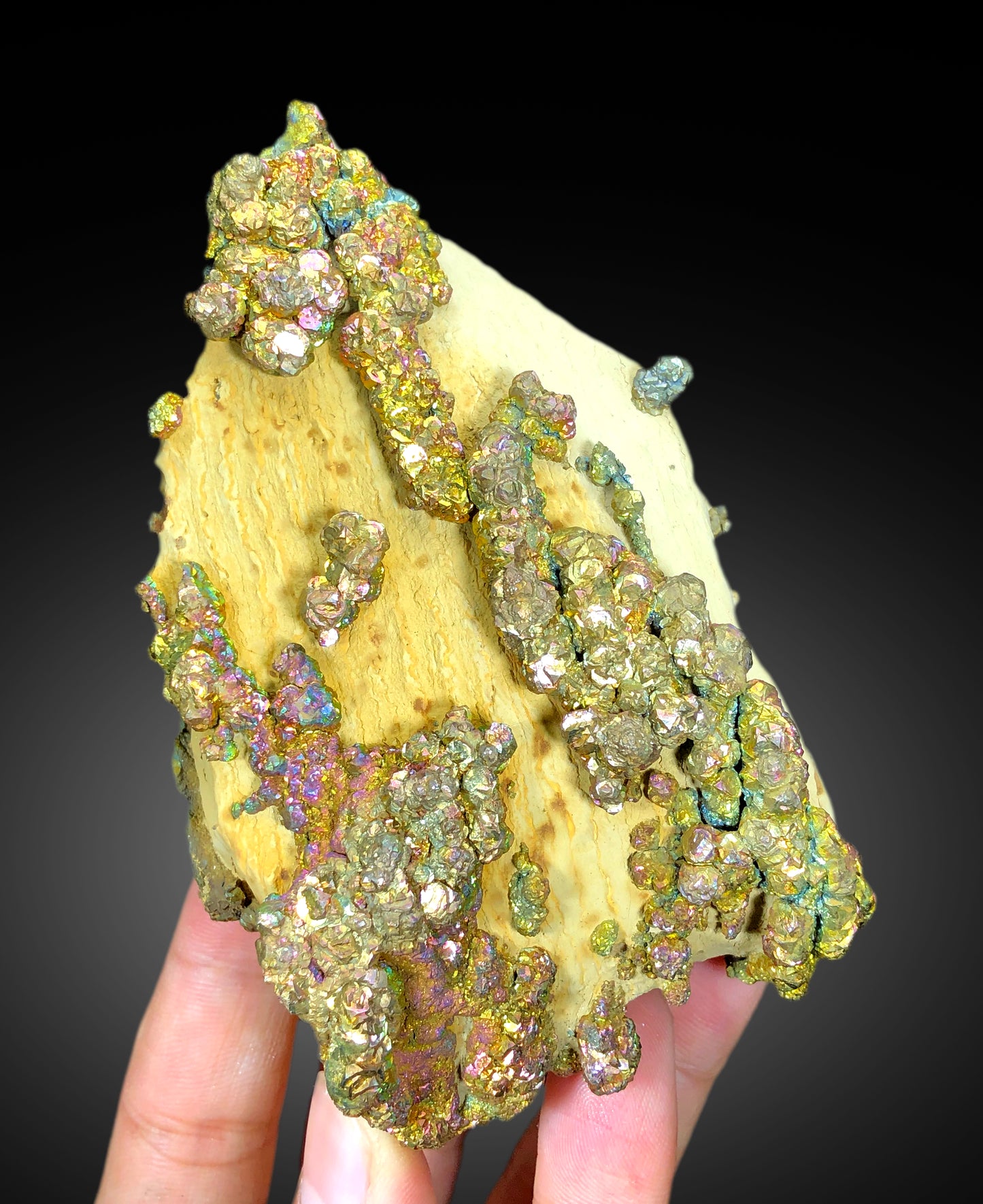 Natural Rainbow Color Pyrite on Yellow Limonite, Pyrite Crystals, Raw Mineral, Pyrite Specimen - 460 gram