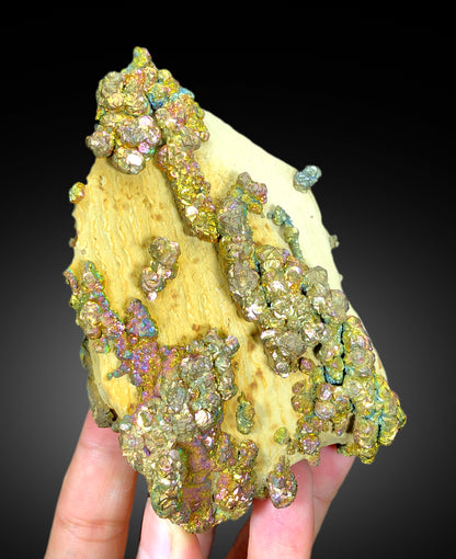Natural Rainbow Color Pyrite on Yellow Limonite, Pyrite Crystals, Raw Mineral, Pyrite Specimen - 460 gram