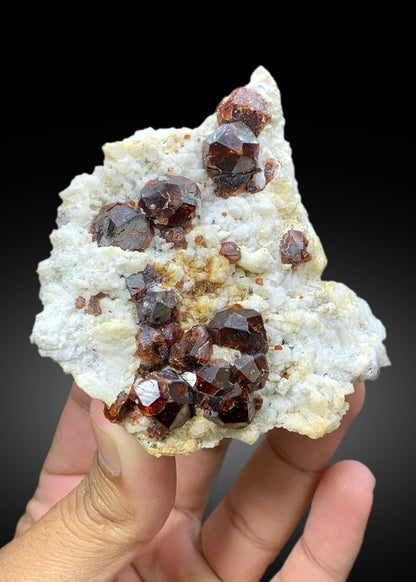 Natural Red Color Garnet Crystals on Matrix from Shengus, Roundu District, Gilgit-Baltistan, Pakistan - 207 gram