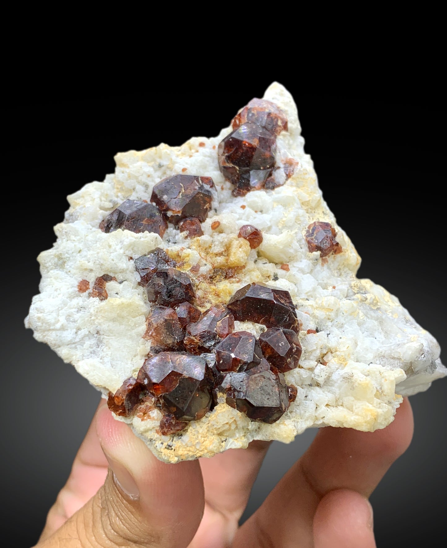 Natural Red Color Garnet Crystals on Matrix from Shengus, Roundu District, Gilgit-Baltistan, Pakistan - 207 gram