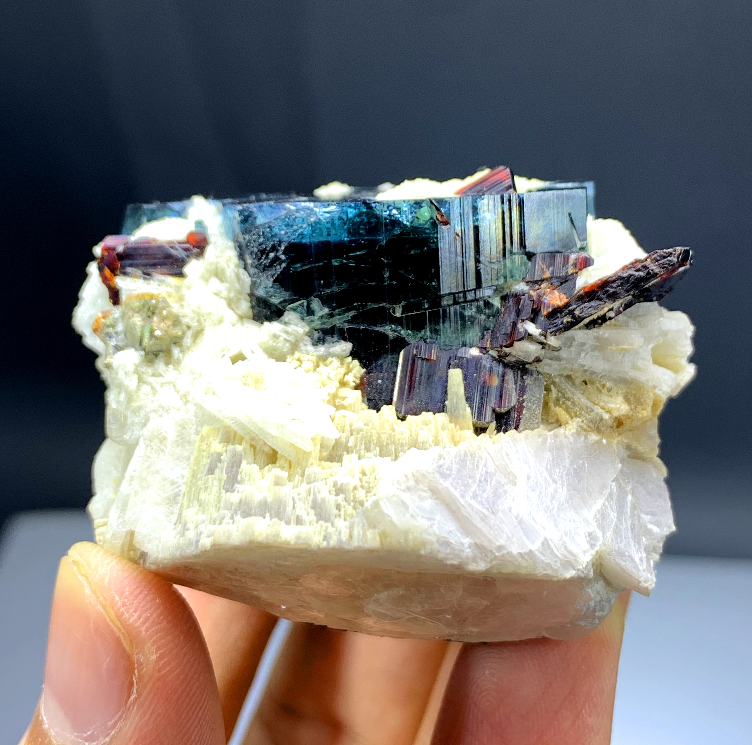 Blue Cap Tourmaline with Rare Tantalite from Afghanistan - 131 gram