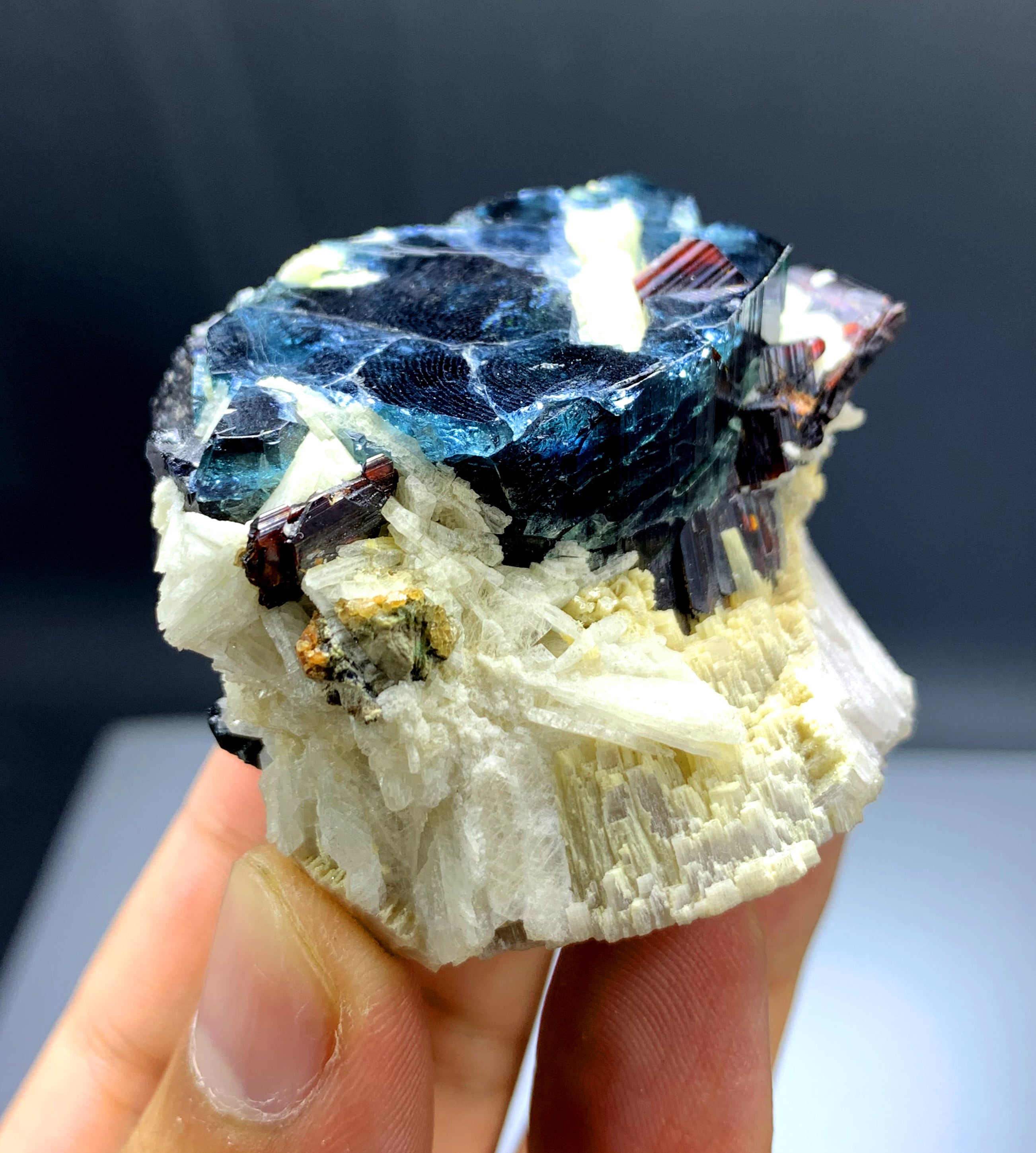 Blue Cap Tourmaline with Rare Tantalite from Afghanistan - 131 gram