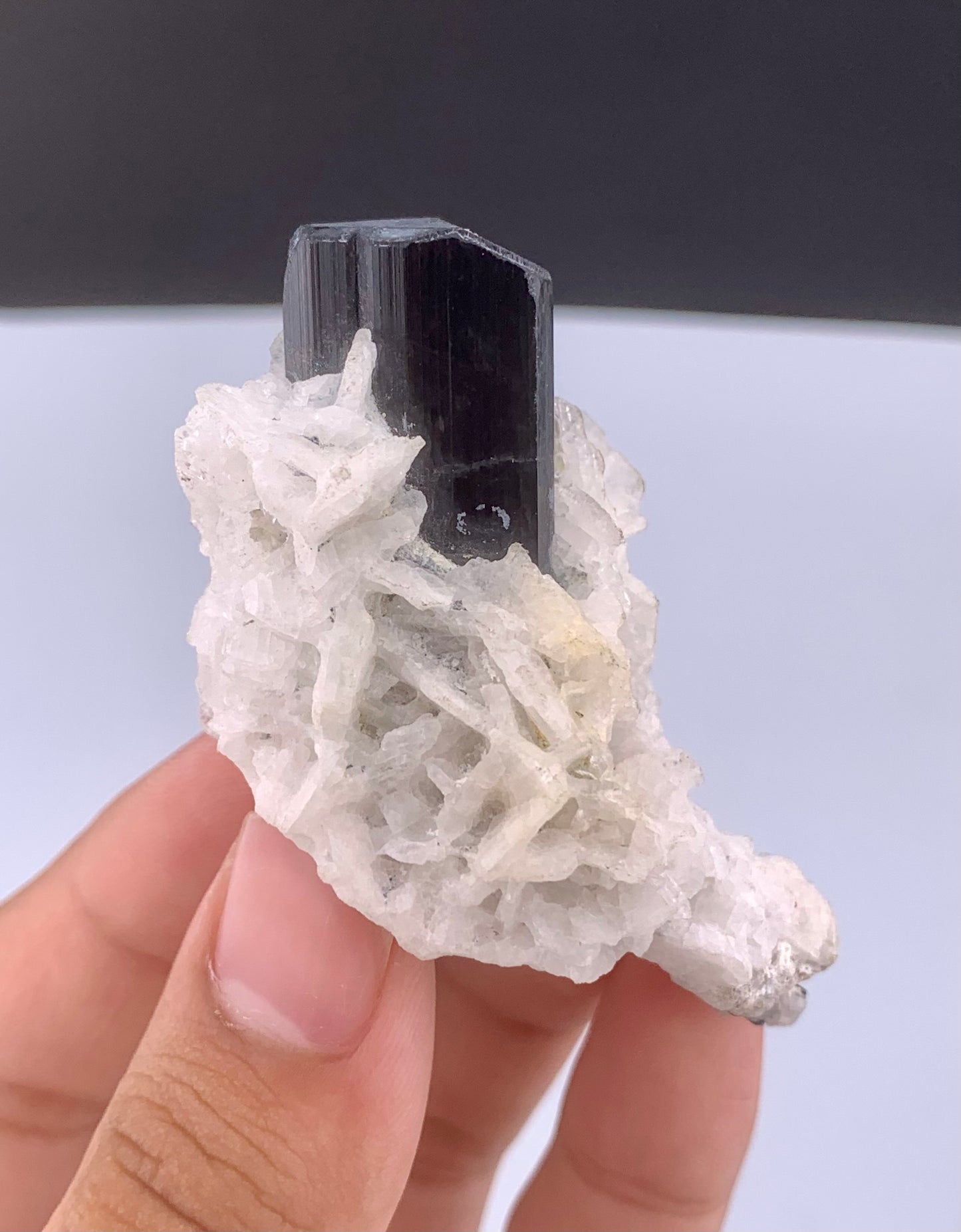 Schorl Black Tourmaline Crystal With Albite From Pakistan - 56 Grams