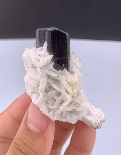 Schorl Black Tourmaline Crystal With Albite From Pakistan - 56 Grams