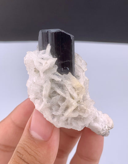 Schorl Black Tourmaline Crystal With Albite From Pakistan - 56 Grams