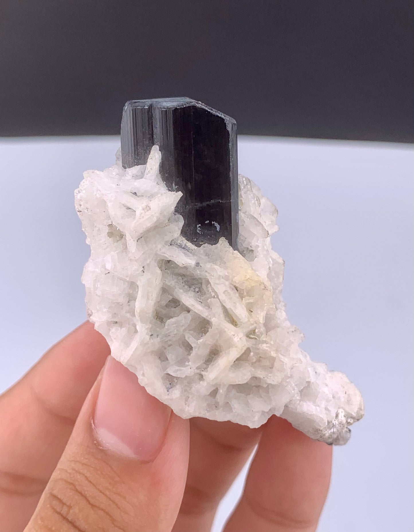 Schorl Black Tourmaline Crystal With Albite From Pakistan - 56 Grams