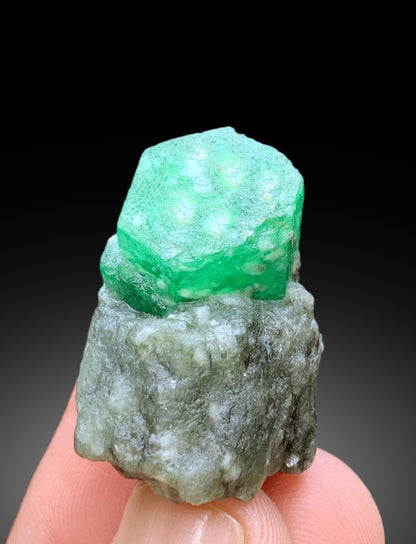 Lush Green Color Emerald on Matrix, Emerald Crystal, Fine Mineral, Emerald from Swat Pakistan - 111.55 carat