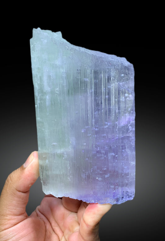 Natural Bicolor Kuzite Crystal from Mawi Pegmatite, Nuristan Province, Afghanistan - 889 gram