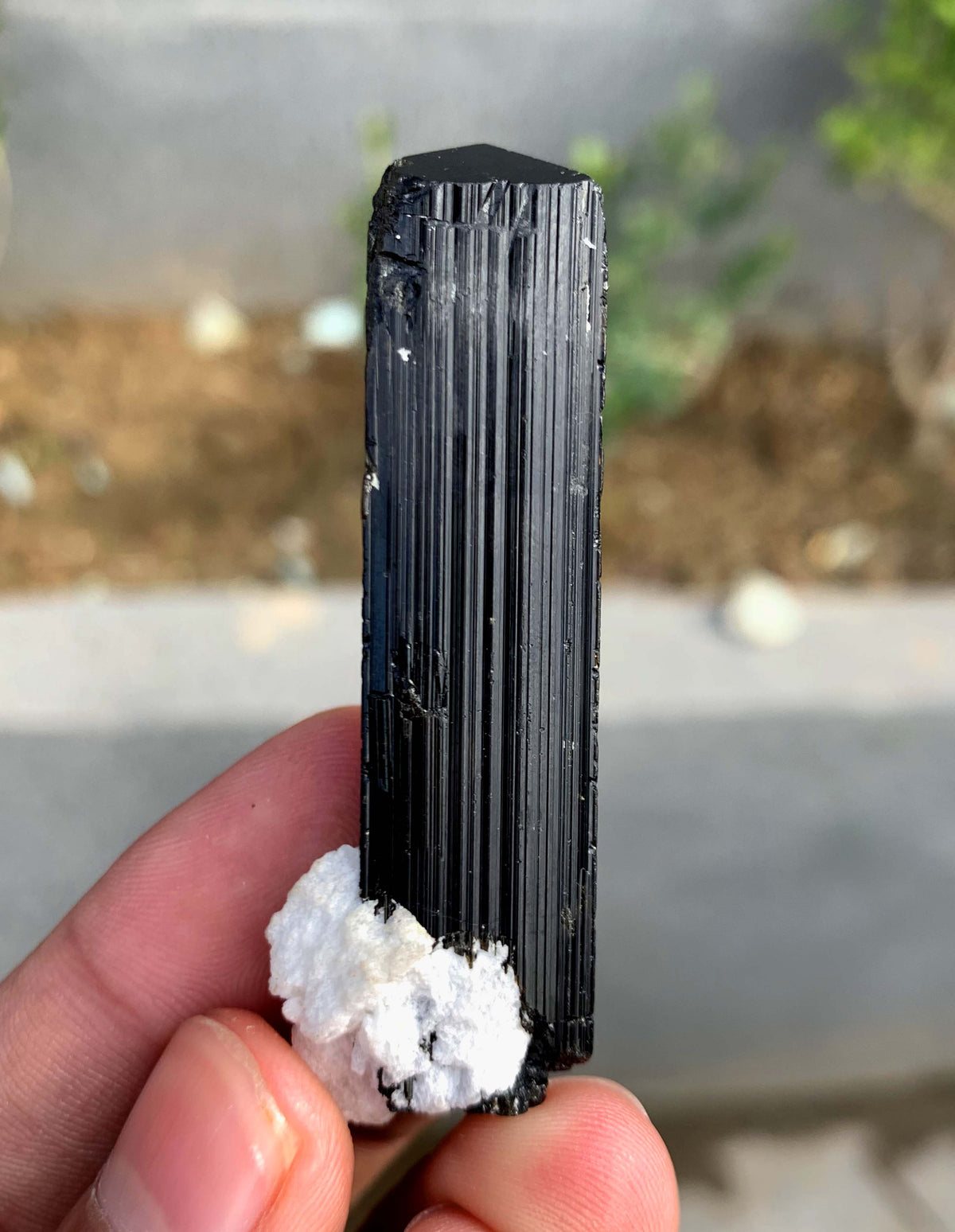 Schorl Black Tourmaline Crystal With Quartz and Feldspar From Afghanistan - 26 Grams