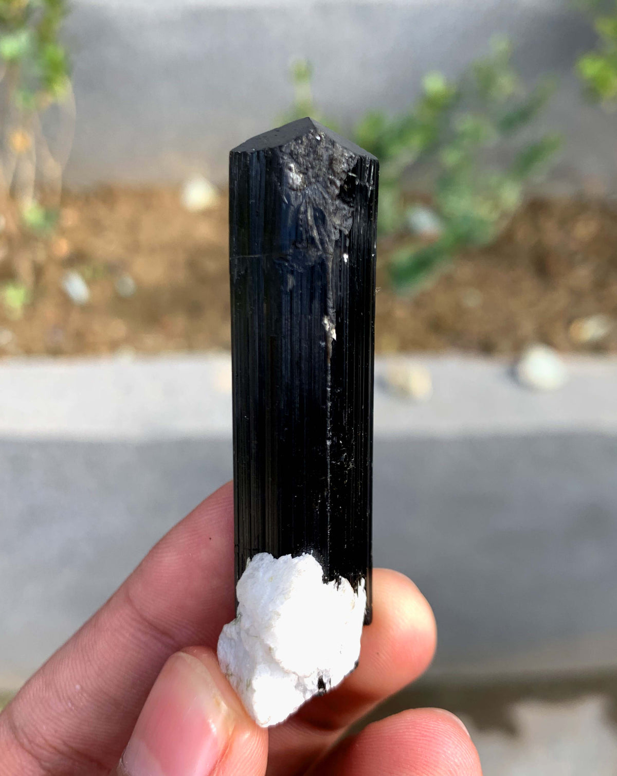 Schorl Black Tourmaline Crystal With Quartz and Feldspar From Afghanistan - 26 Grams