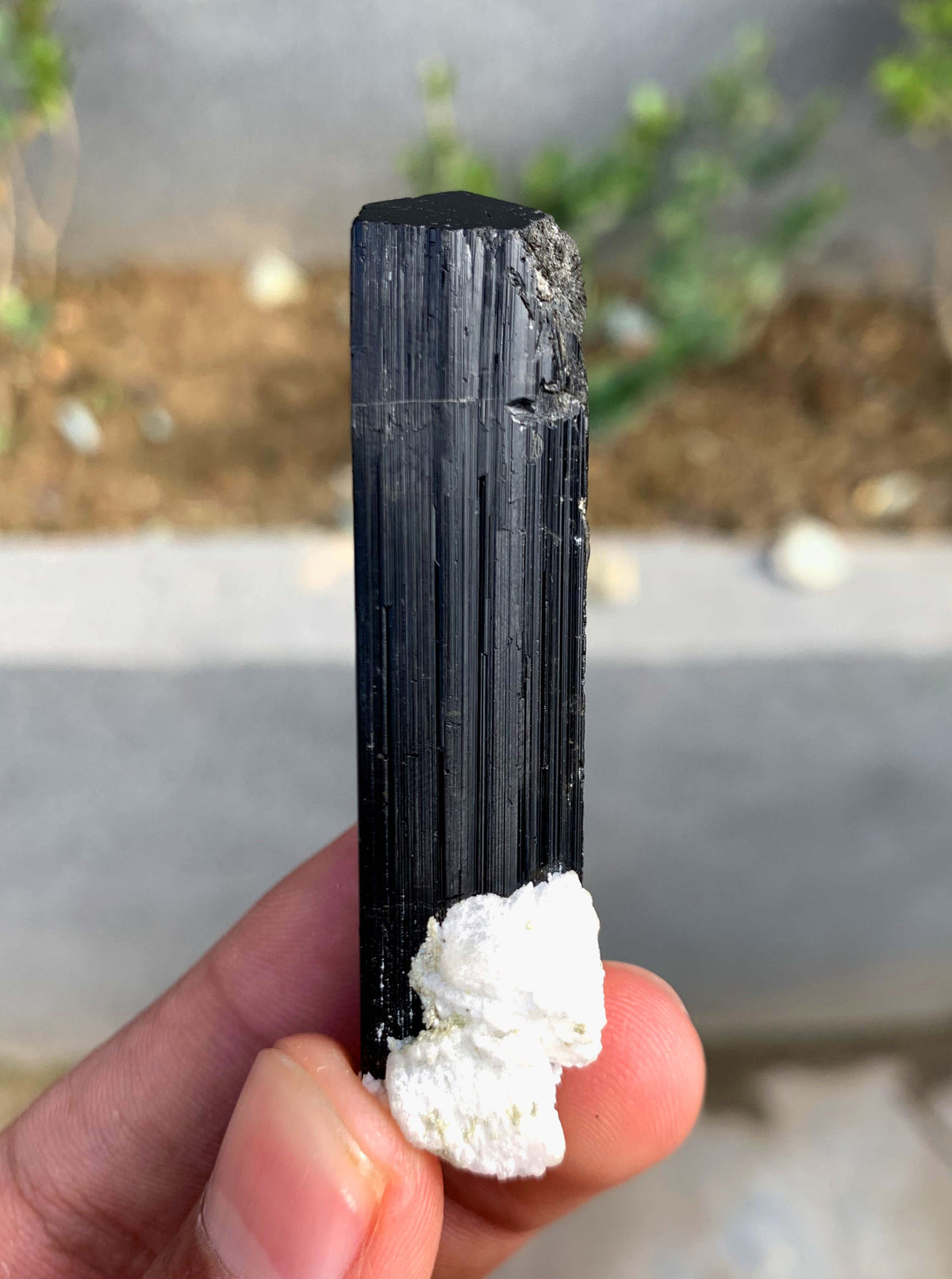 Schorl Black Tourmaline Crystal With Quartz and Feldspar From Afghanistan - 26 Grams