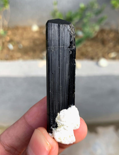 Schorl Black Tourmaline Crystal With Quartz and Feldspar From Afghanistan - 26 Grams