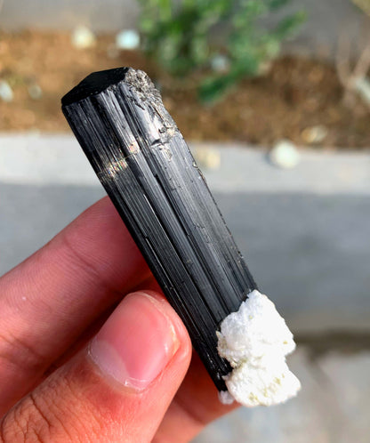 Schorl Black Tourmaline Crystal With Quartz and Feldspar From Afghanistan - 26 Grams