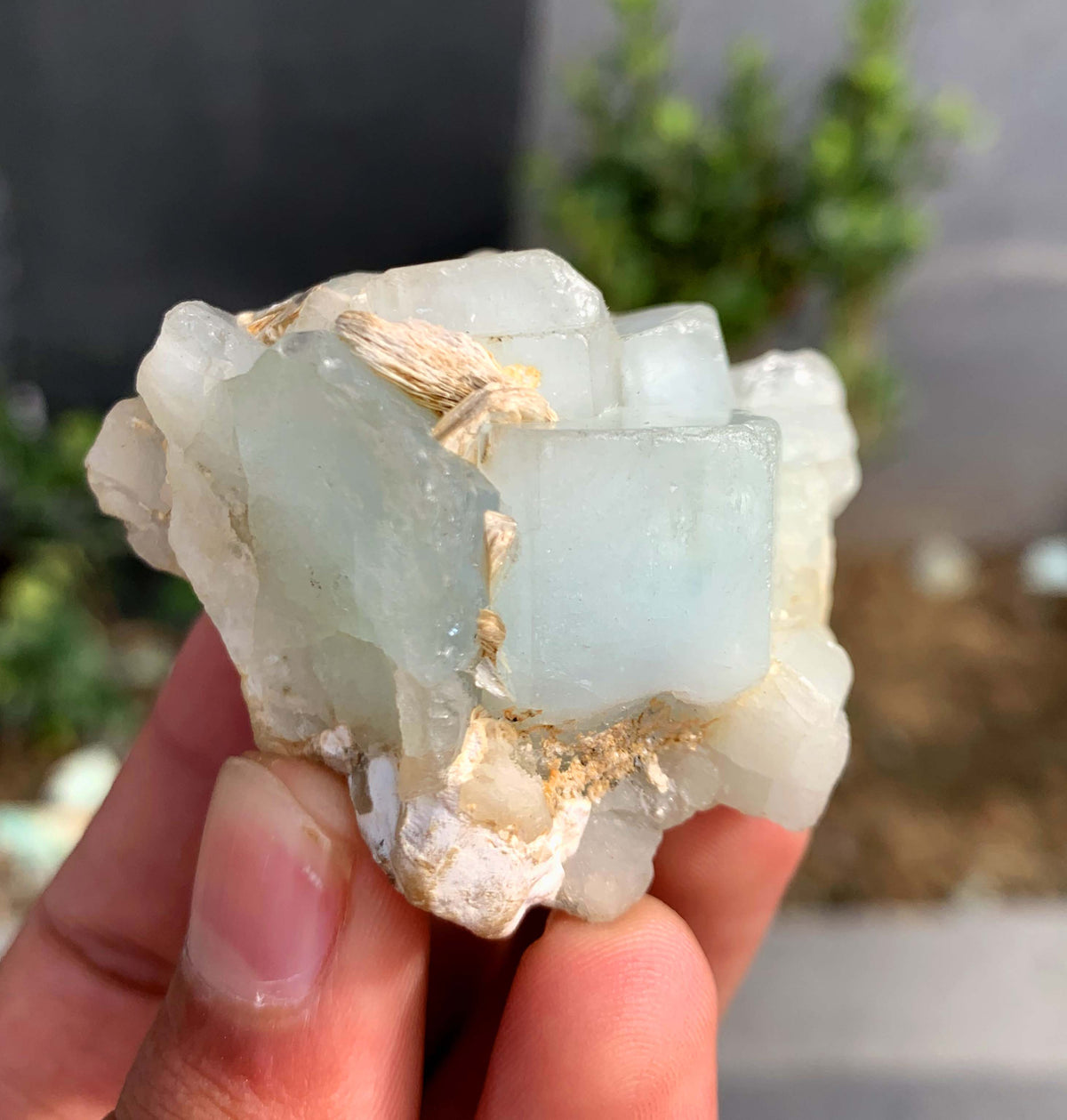 Blue Aquamarine Crystals on Matrix From Pakistan - 75 Grams