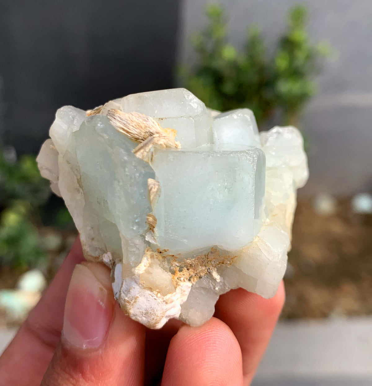 Blue Aquamarine Crystals on Matrix From Pakistan - 75 Grams