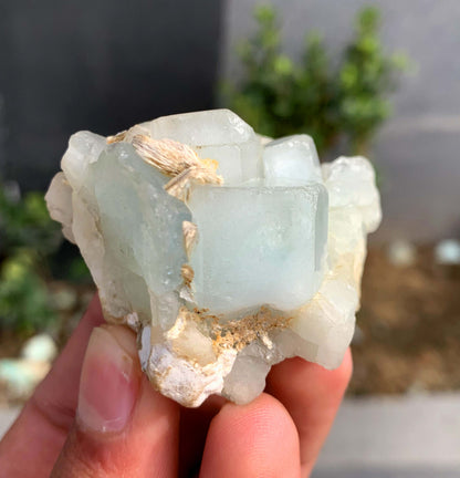 Blue Aquamarine Crystals on Matrix From Pakistan - 75 Grams