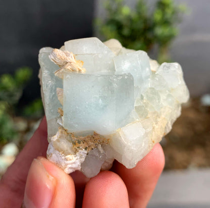 Blue Aquamarine Crystals on Matrix From Pakistan - 75 Grams