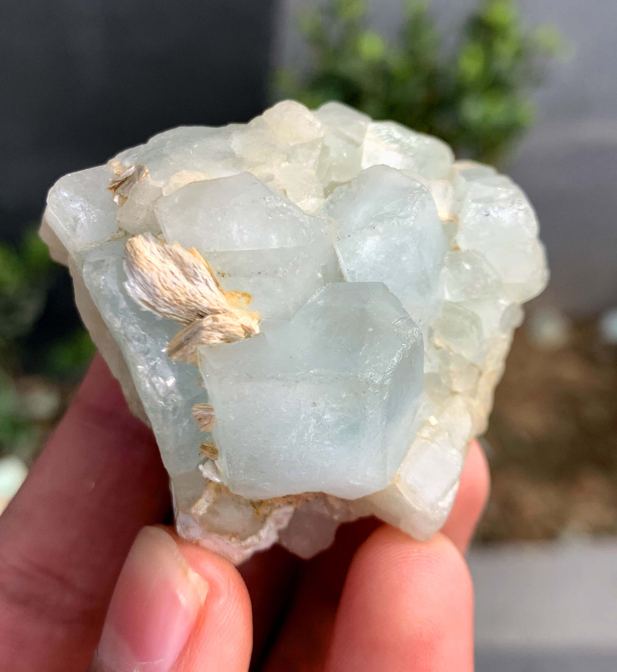 Blue Aquamarine Crystals on Matrix From Pakistan - 75 Grams