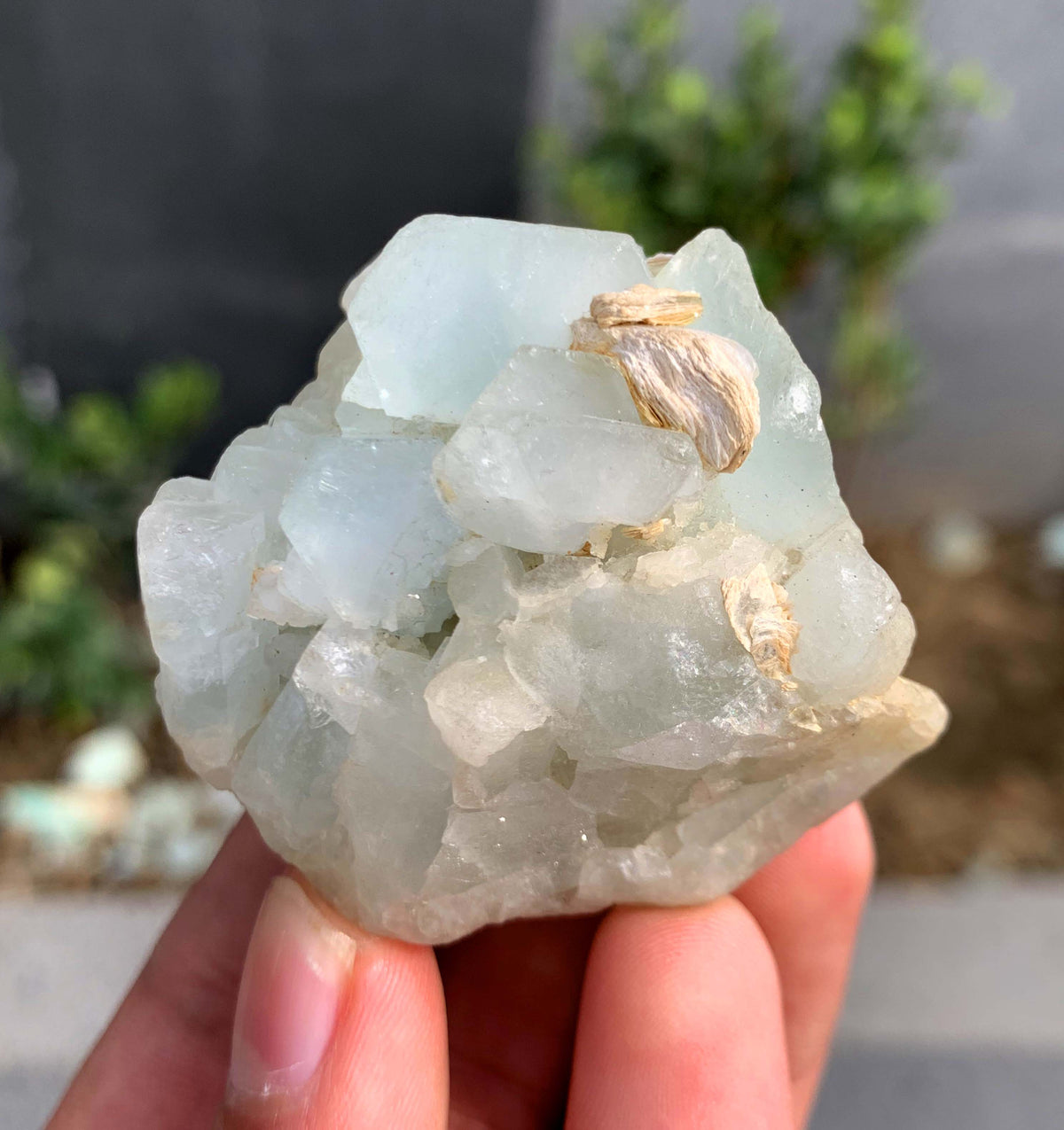 Blue Aquamarine Crystals on Matrix From Pakistan - 75 Grams
