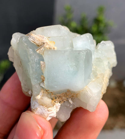 Blue Aquamarine Crystals on Matrix From Pakistan - 75 Grams