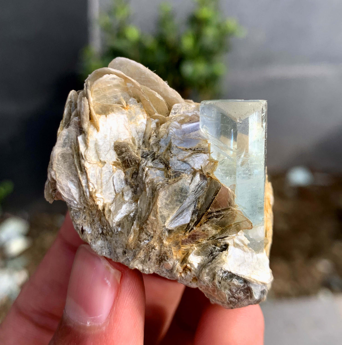Aquamarine Crystal With Mica on Matrix From Pakistan - 63 Grams