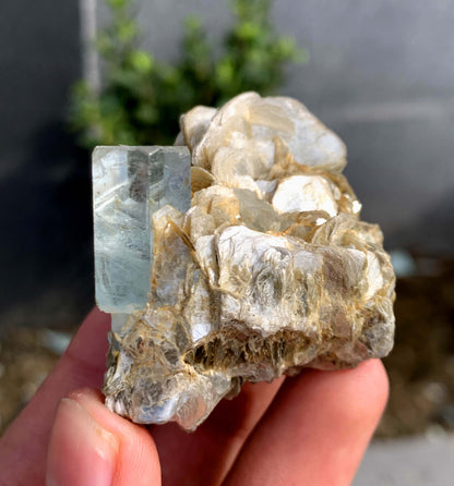 Aquamarine Crystal With Mica on Matrix From Pakistan - 63 Grams