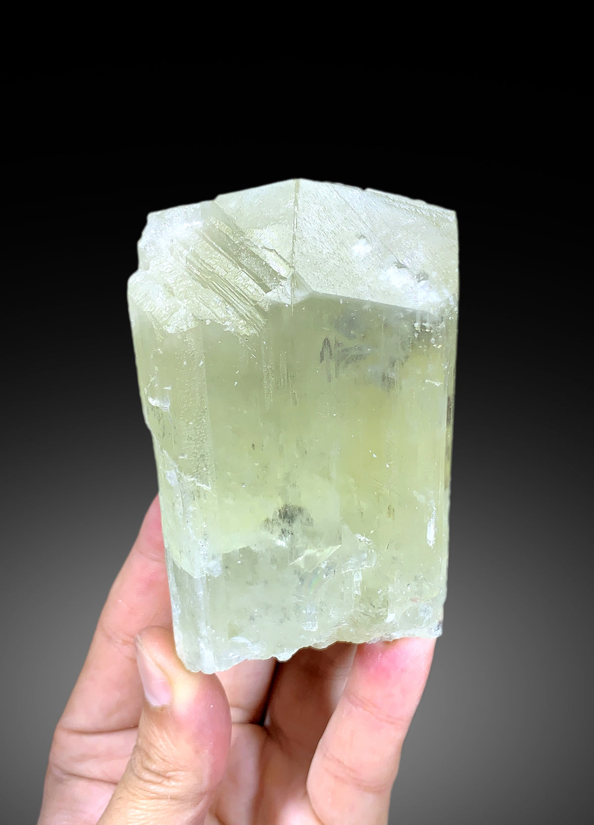 Natural Terminated Yellow Triphane Kunzite Crystal From Afghanistan - 495 gram