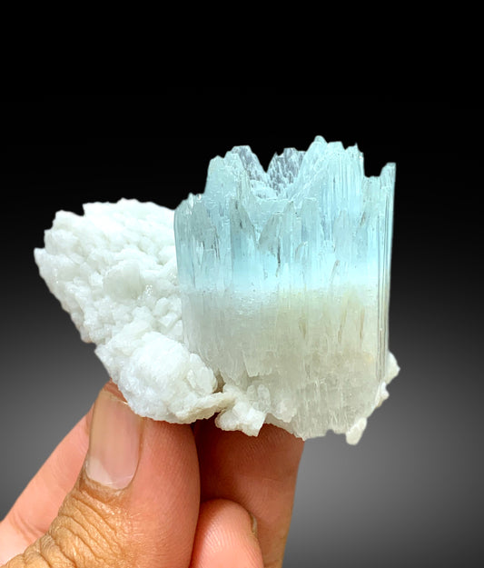 Bicolor Beryl, AquaMorganite Crystal on Albite, Morganite var Aquamarine with Etched Terminations, AquaMorganite Specimen - 139 gram