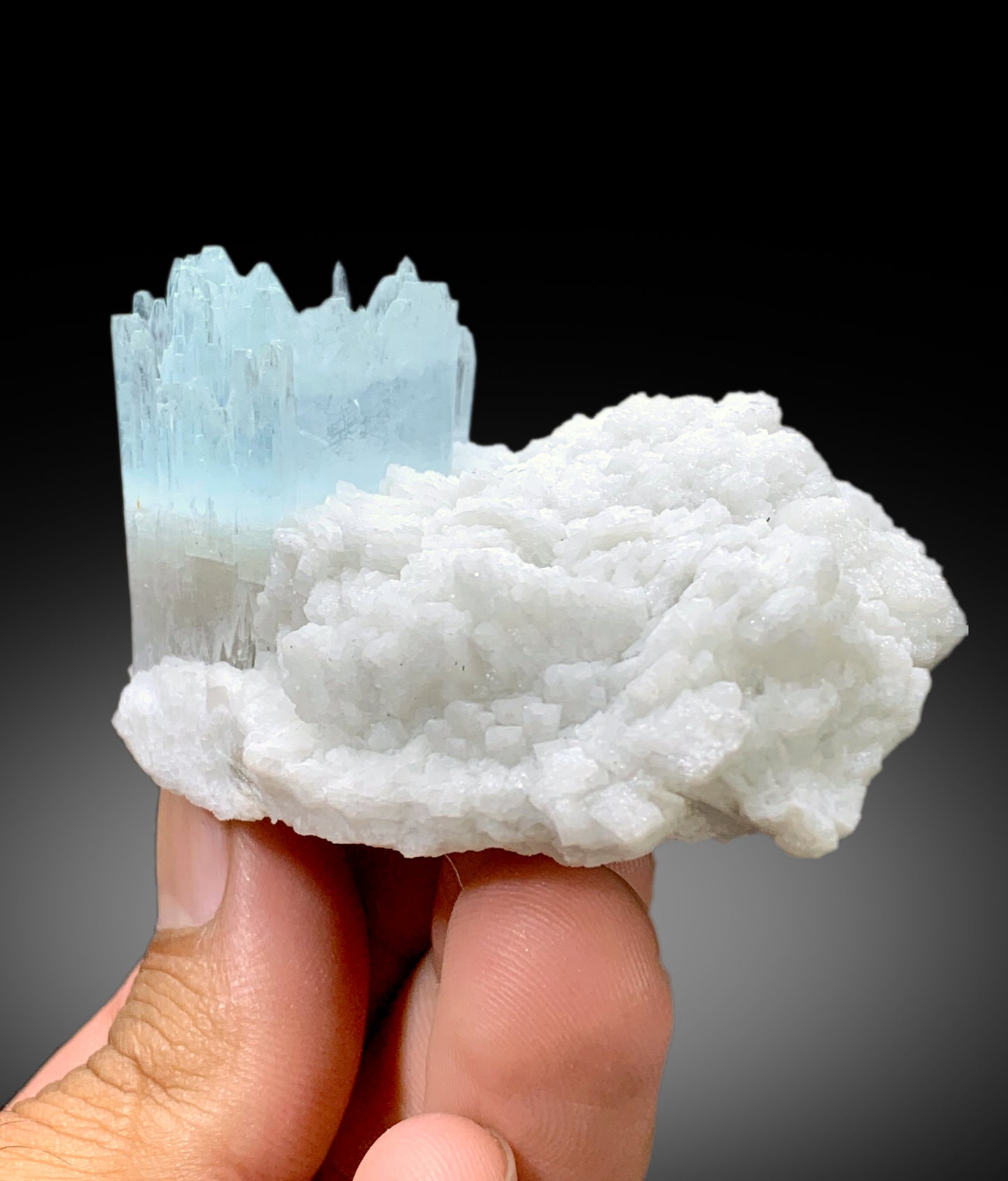 Bicolor Beryl, AquaMorganite Crystal on Albite, Morganite var Aquamarine with Etched Terminations, AquaMorganite Specimen - 139 gram