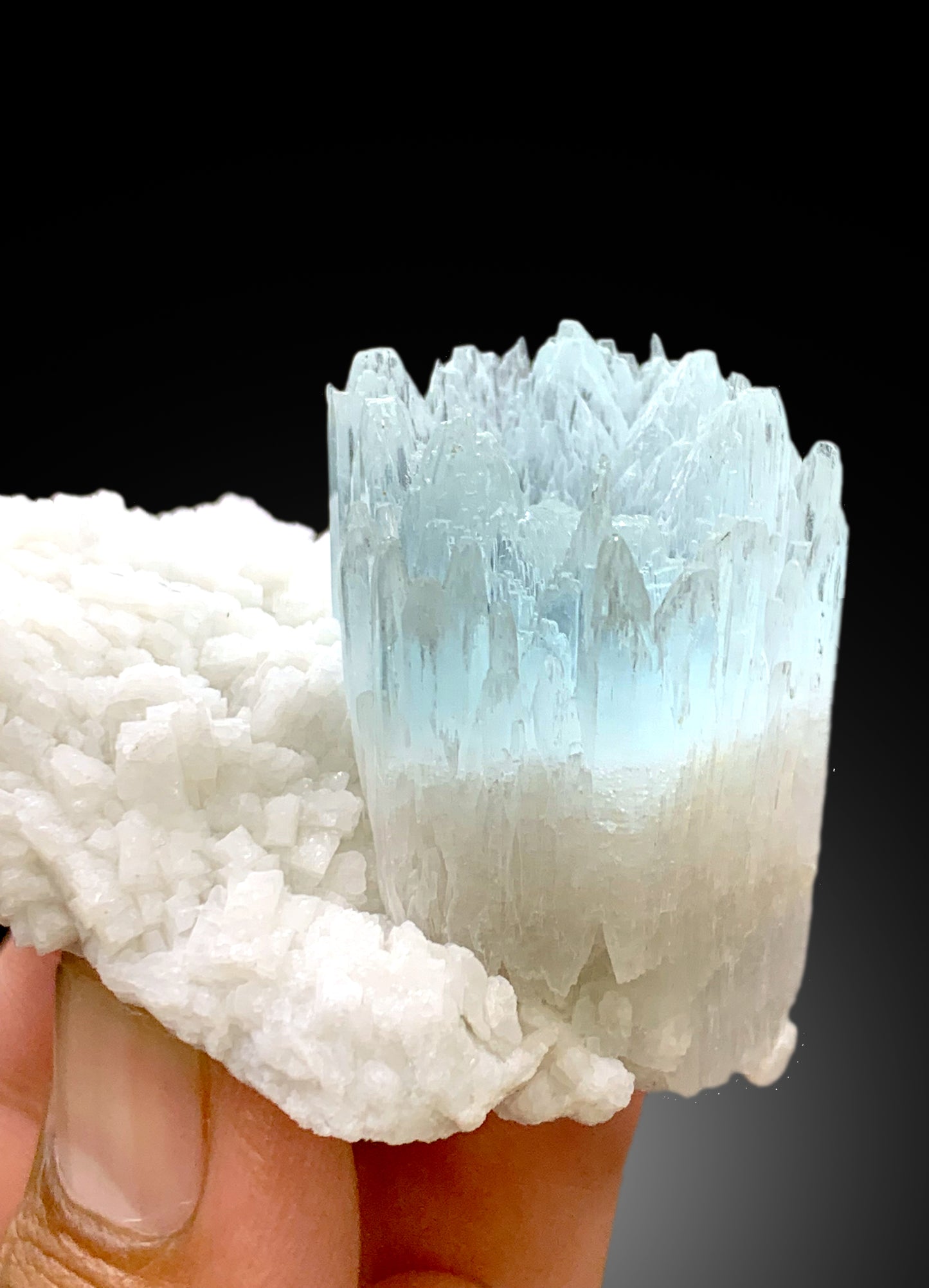 Bicolor Beryl, AquaMorganite Crystal on Albite, Morganite var Aquamarine with Etched Terminations, AquaMorganite Specimen - 139 gram