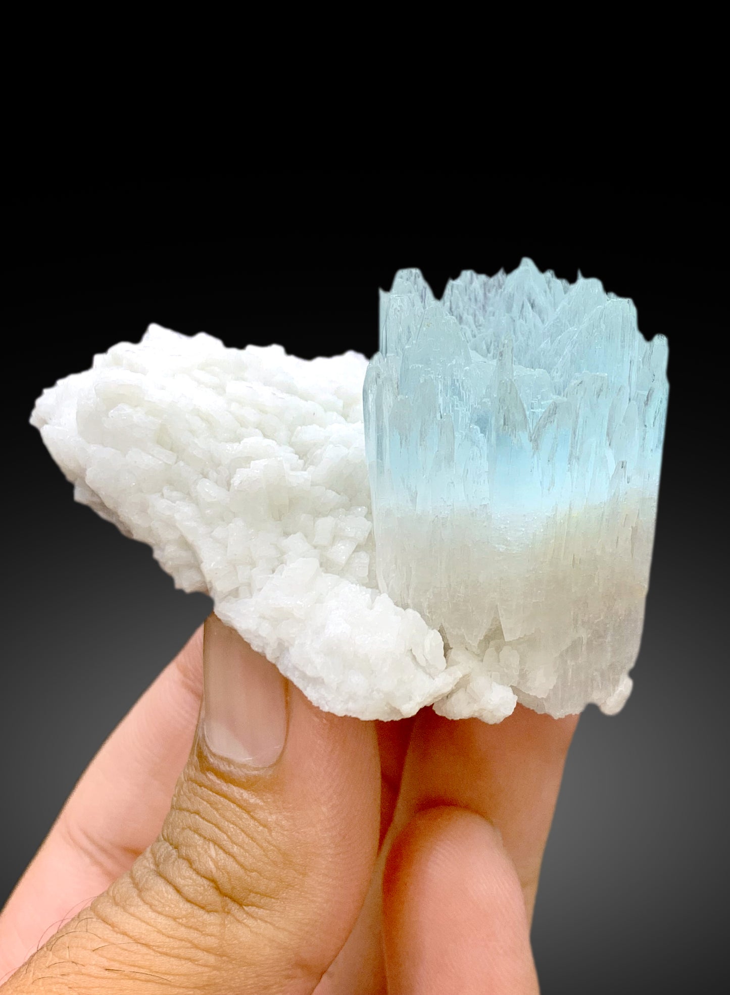 Bicolor Beryl, AquaMorganite Crystal on Albite, Morganite var Aquamarine with Etched Terminations, AquaMorganite Specimen - 139 gram