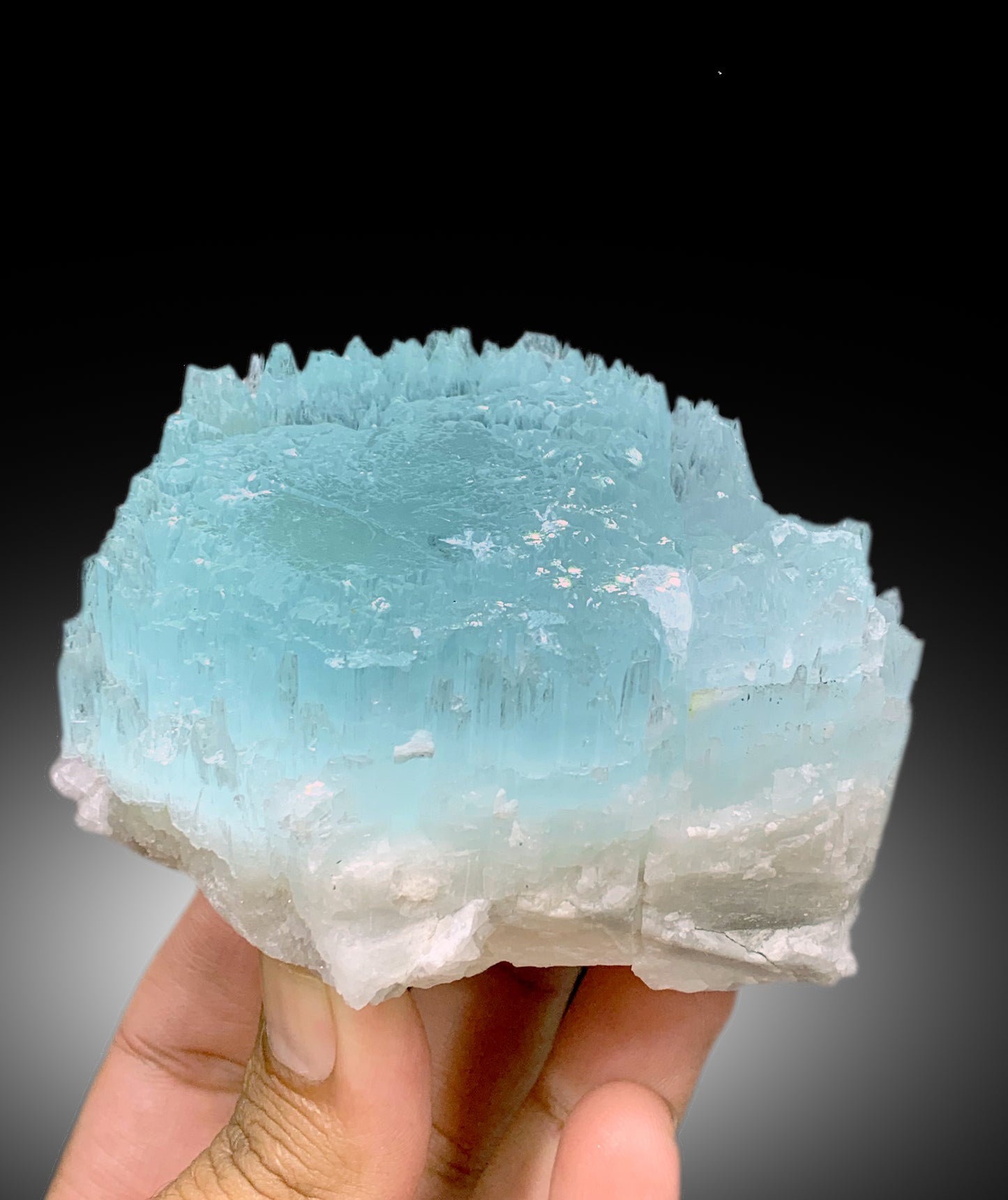 Bicolor Beryl, AquaMorganite Crystal, Morganite var Aquamarine with Etched Terminations, AquaMorganite Specimen - 615 gram