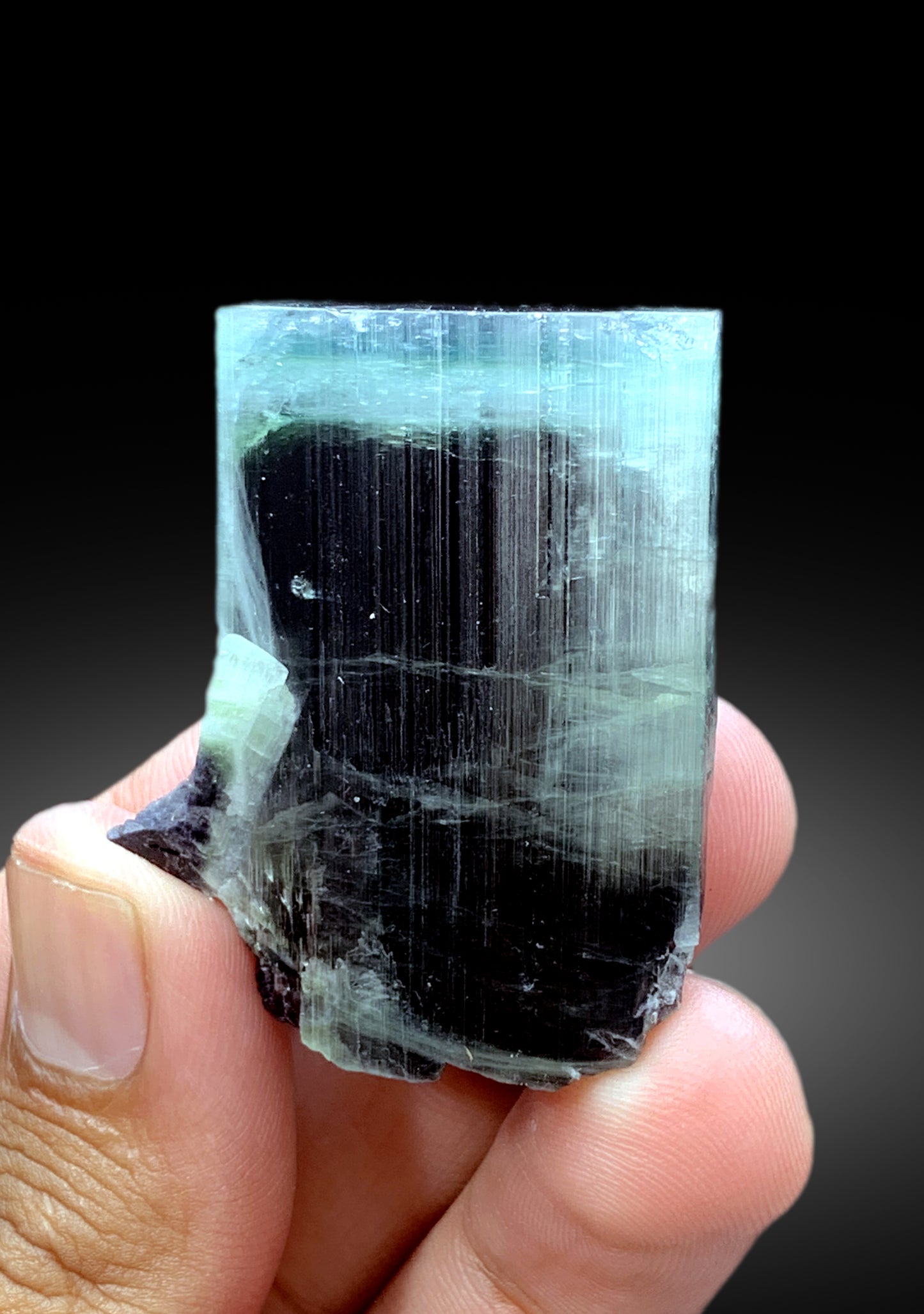 Natural Blue Cap Tourmaline Crystal from Paprok Afghanistan - 79 gram