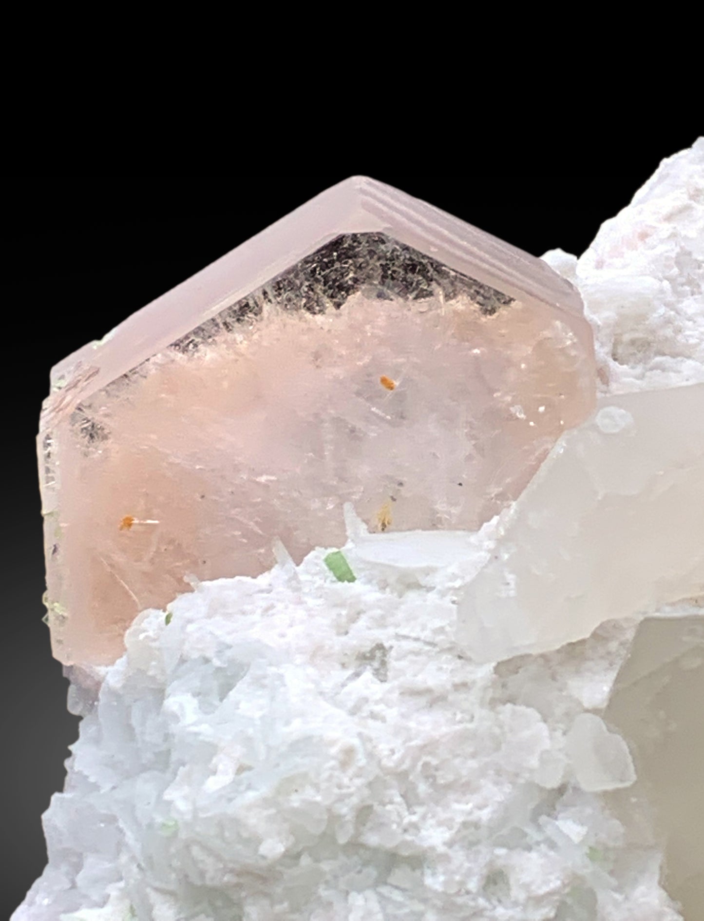Natural Pink Morganite with Tourmalines, Quartz Microclite and Cleavelandite Albite Specimen - 308 grams
