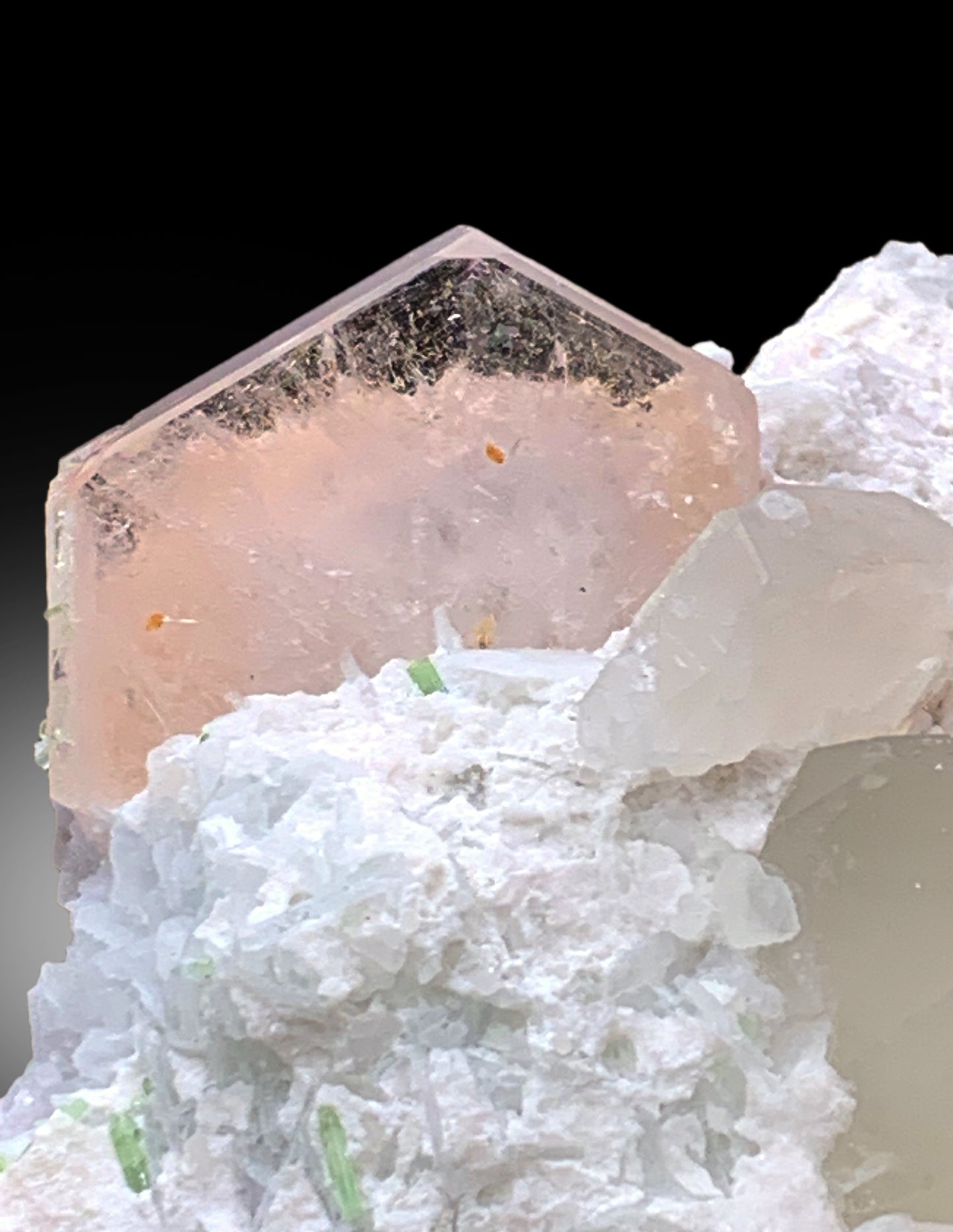 Natural Pink Morganite with Tourmalines, Quartz Microclite and Cleavelandite Albite Specimen - 308 grams