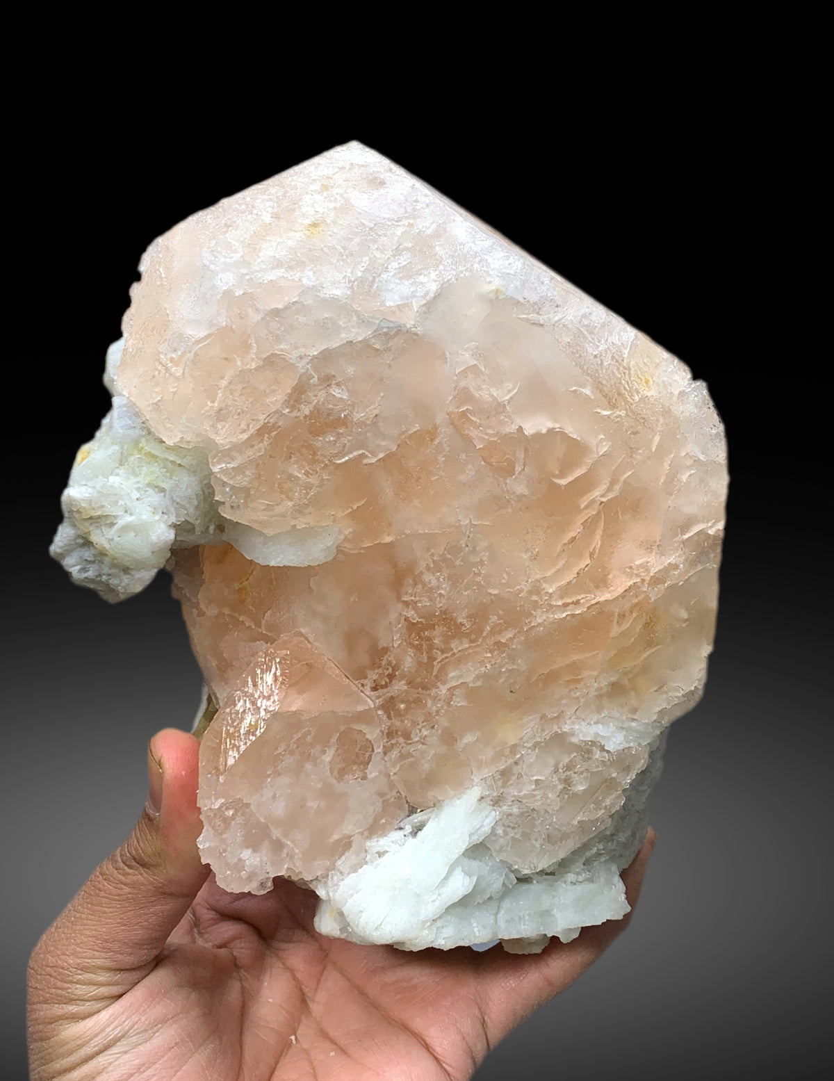 Museum Grade Peach Pink Morganite on Albite from Dara e Pech Afghanistan - 1787 grams