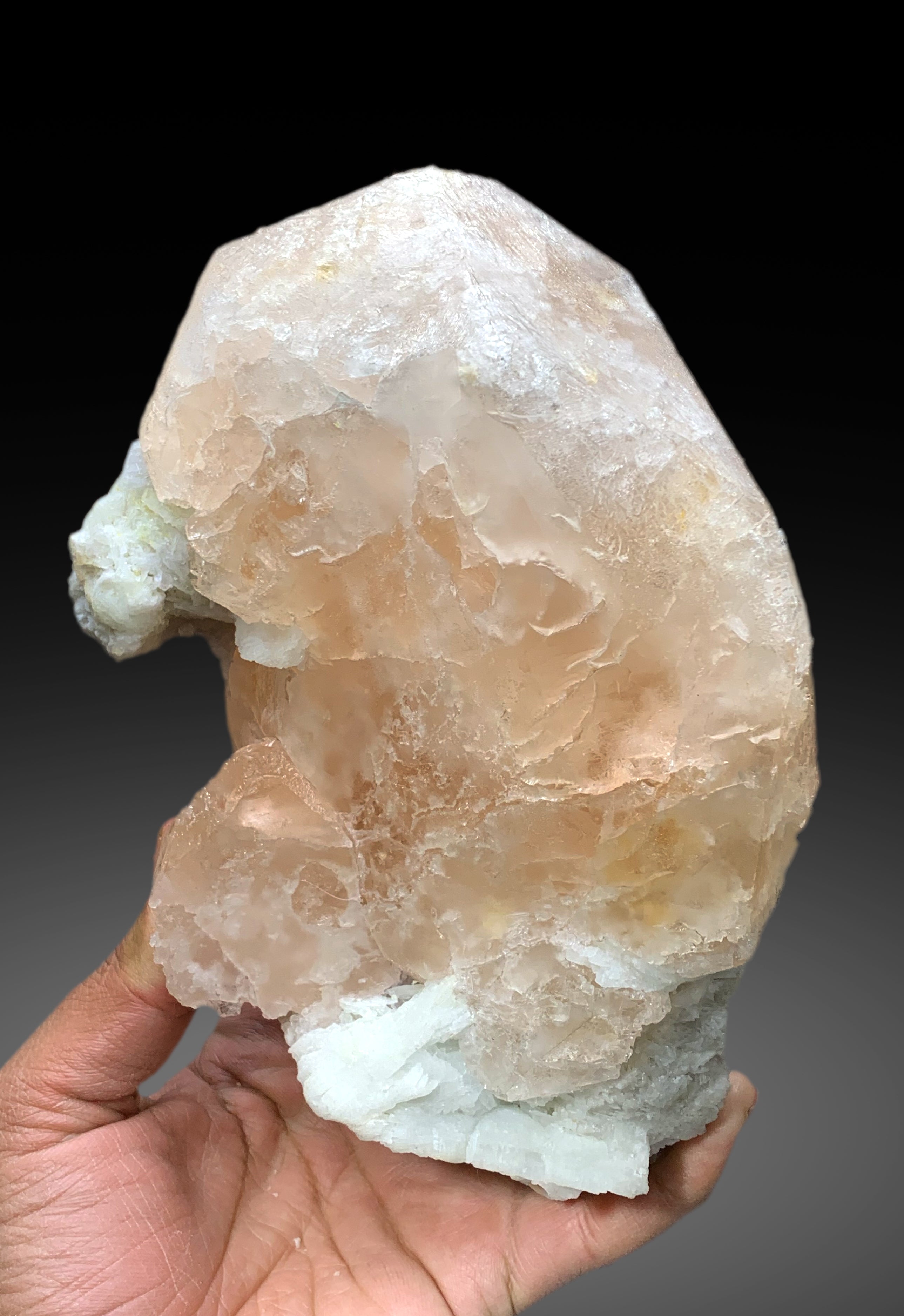 Museum Grade Peach Pink Morganite on Albite from Dara e Pech Afghanistan - 1787 grams