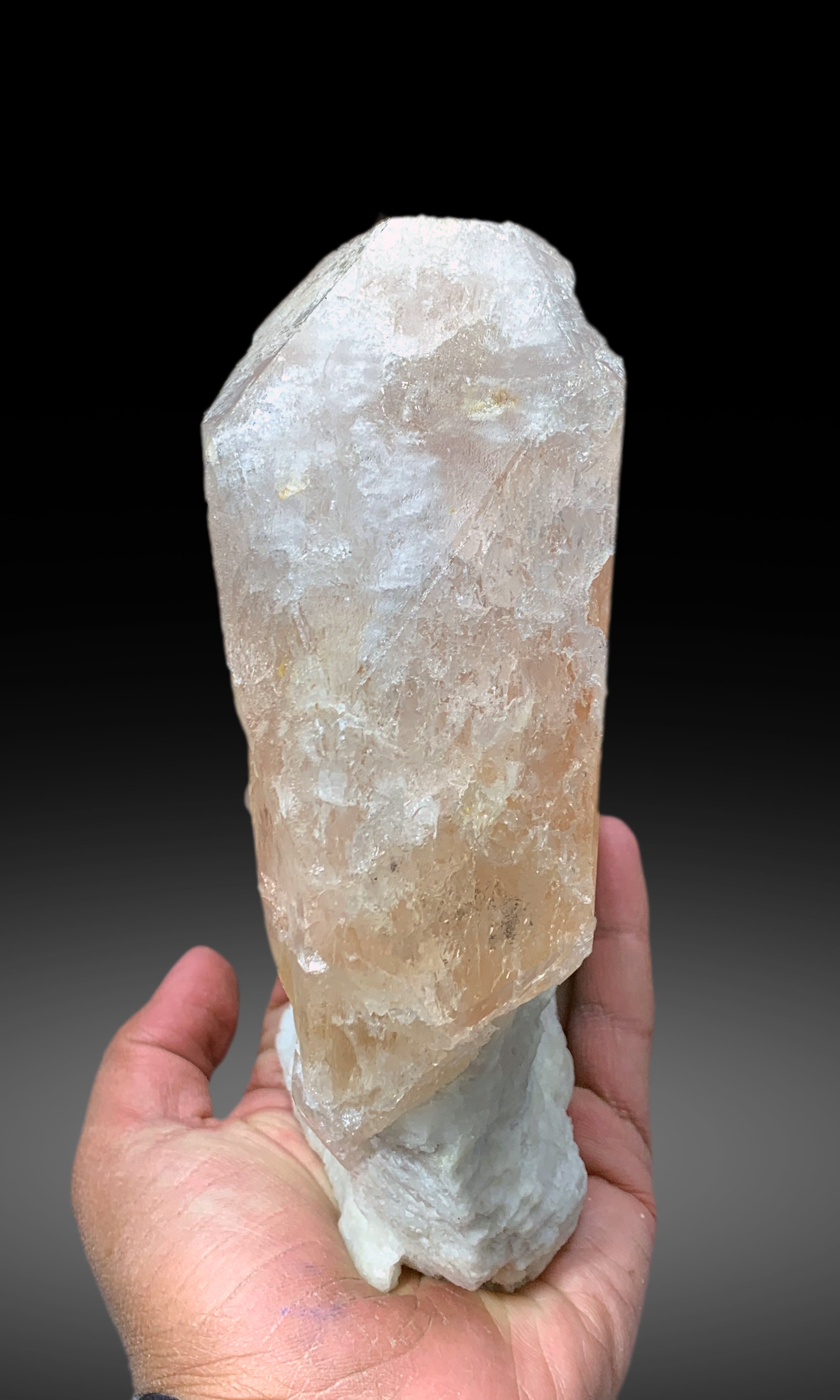 Museum Grade Peach Pink Morganite on Albite from Dara e Pech Afghanistan - 1787 grams