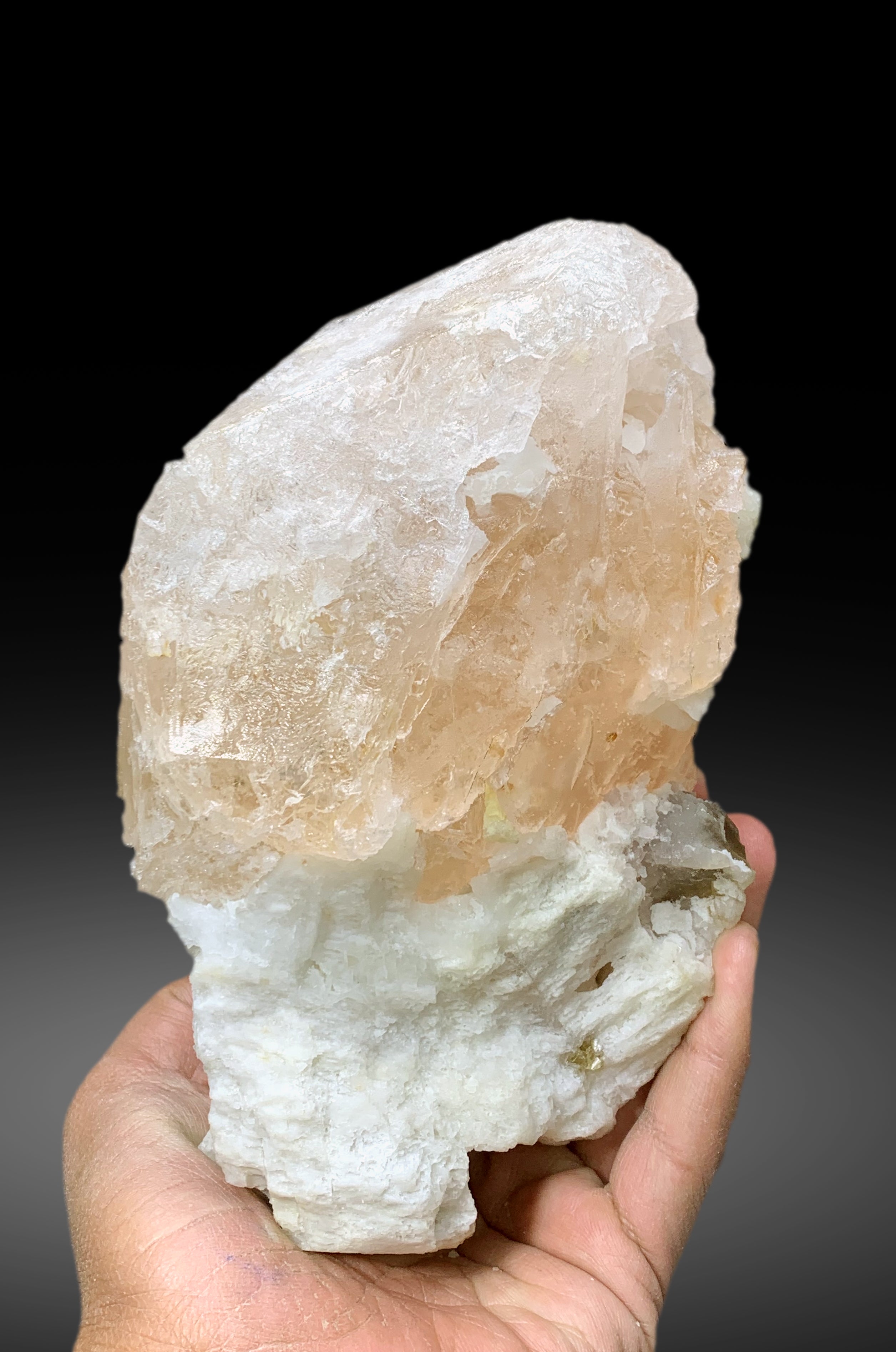 Museum Grade Peach Pink Morganite on Albite from Dara e Pech Afghanistan - 1787 grams