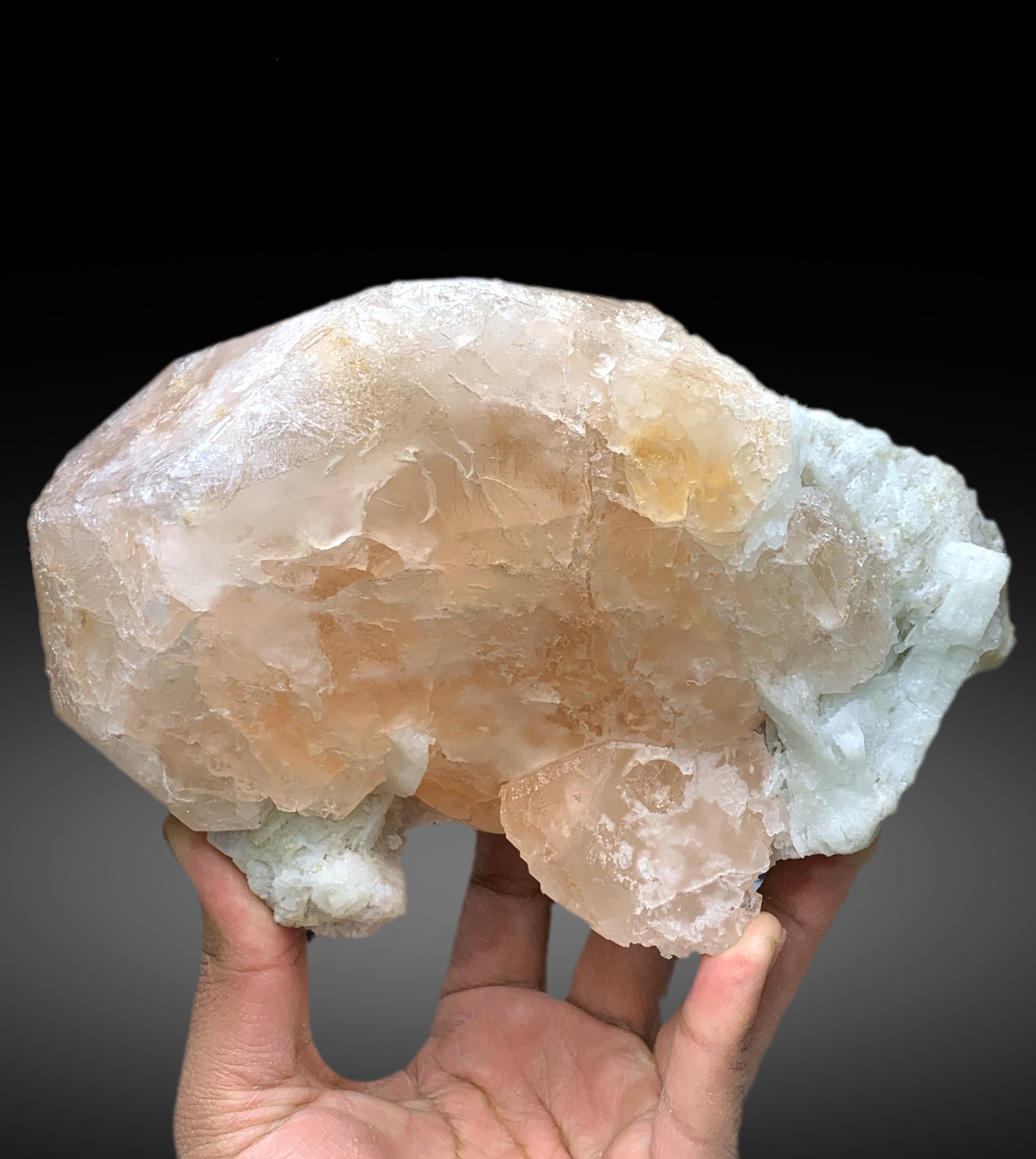 Museum Grade Peach Pink Morganite on Albite from Dara e Pech Afghanistan - 1787 grams