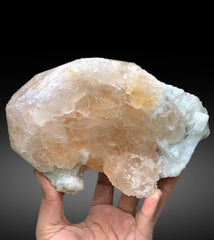 Museum Grade Peach Pink Morganite on Albite from Dara e Pech Afghanistan - 1787 grams