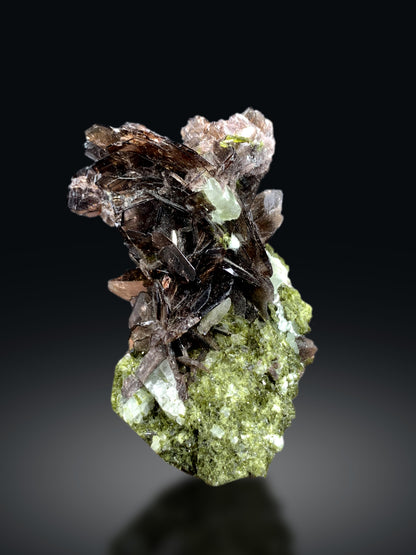 Axinite on Green Epidote from Skardu Pakistan - 85 gram