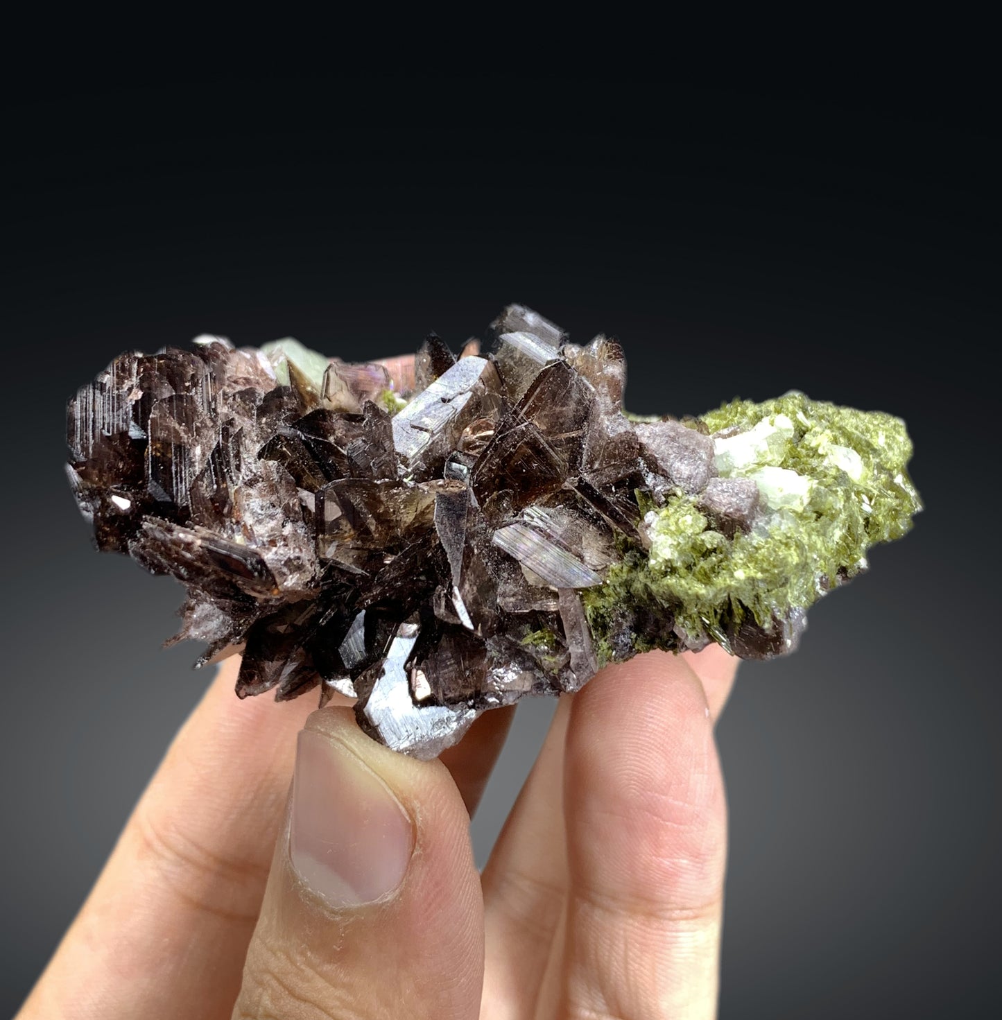 Axinite on Green Epidote from Skardu Pakistan - 85 gram