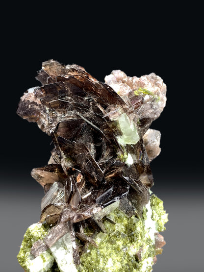 Axinite on Green Epidote from Skardu Pakistan - 85 gram